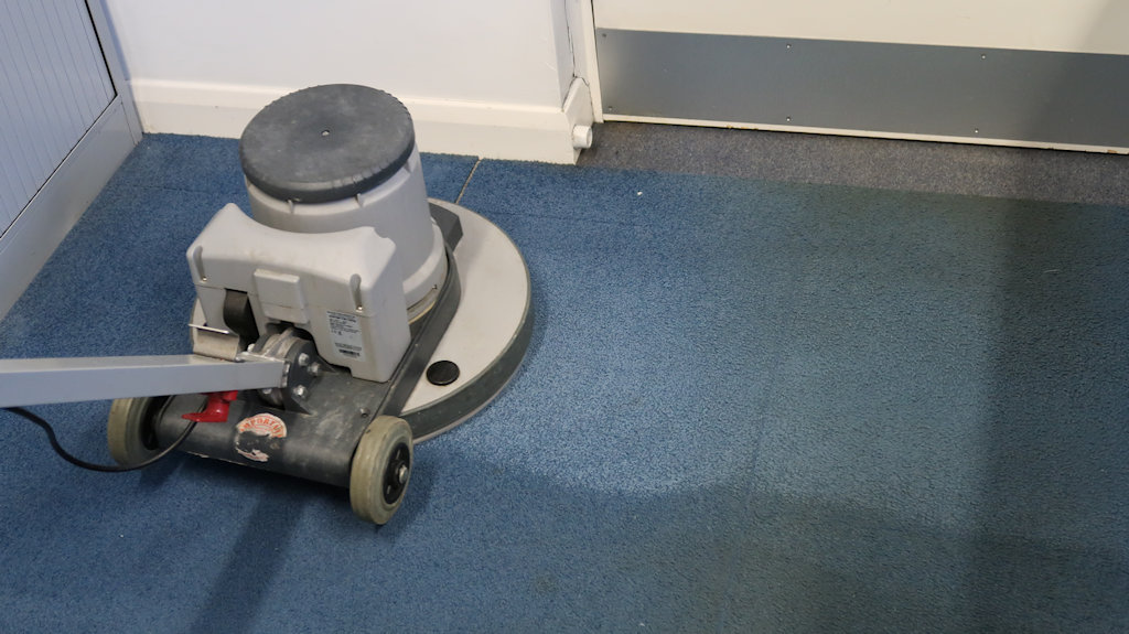 Carpet Middle