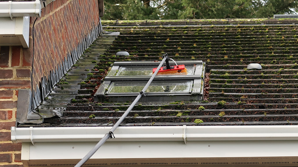 Window Top Right